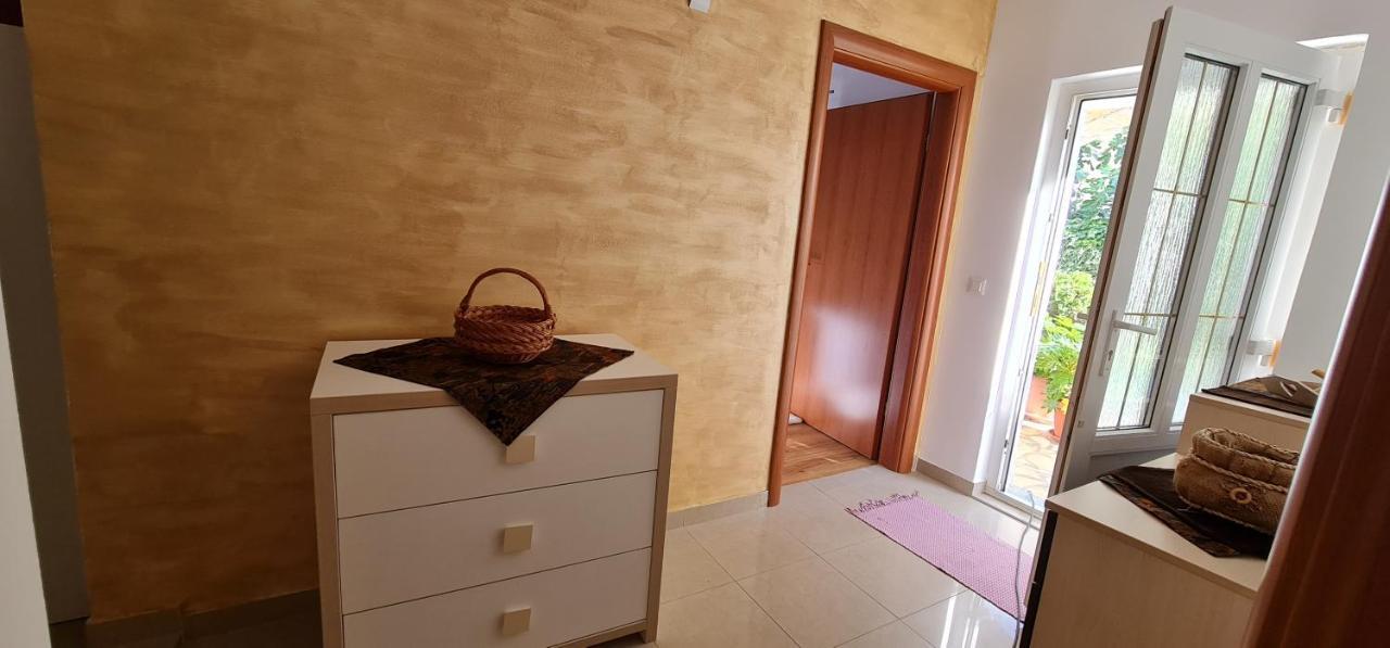 Apartman Breza 希贝尼克 外观 照片