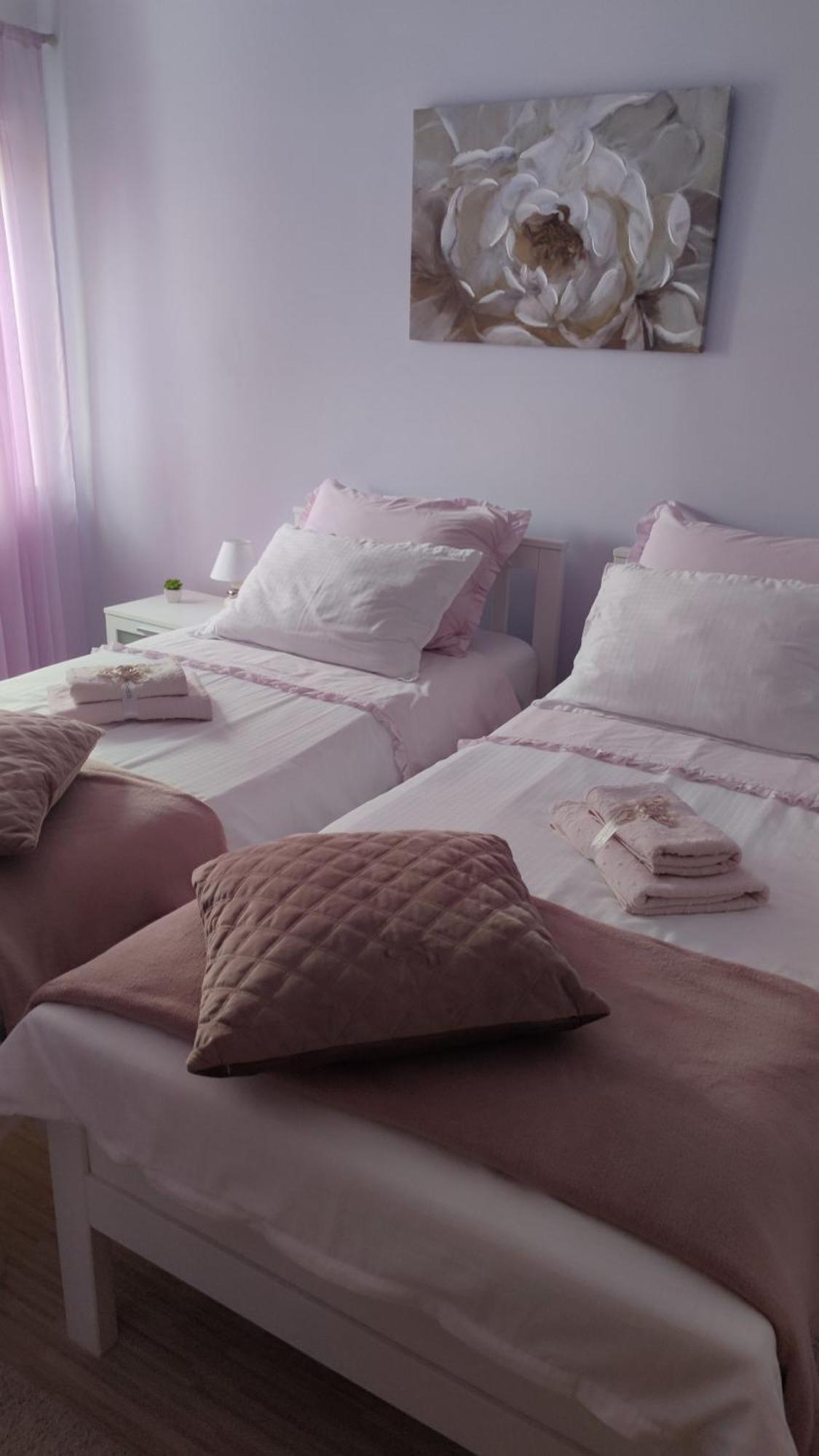 Apartman Breza 希贝尼克 外观 照片